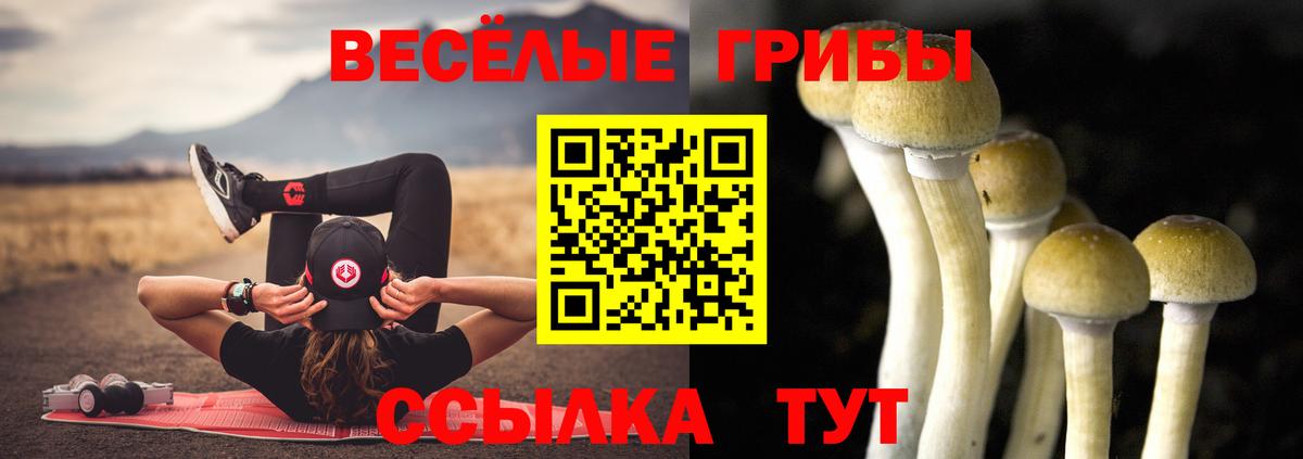 Галлюциногенные грибы Psilocybe  Псилоцибиновые грибы прущие грибы  Вход с VPN  Саратов 